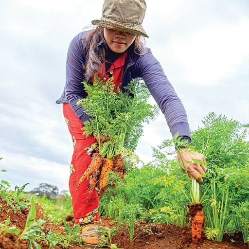 Les secrets de la verveine odorante