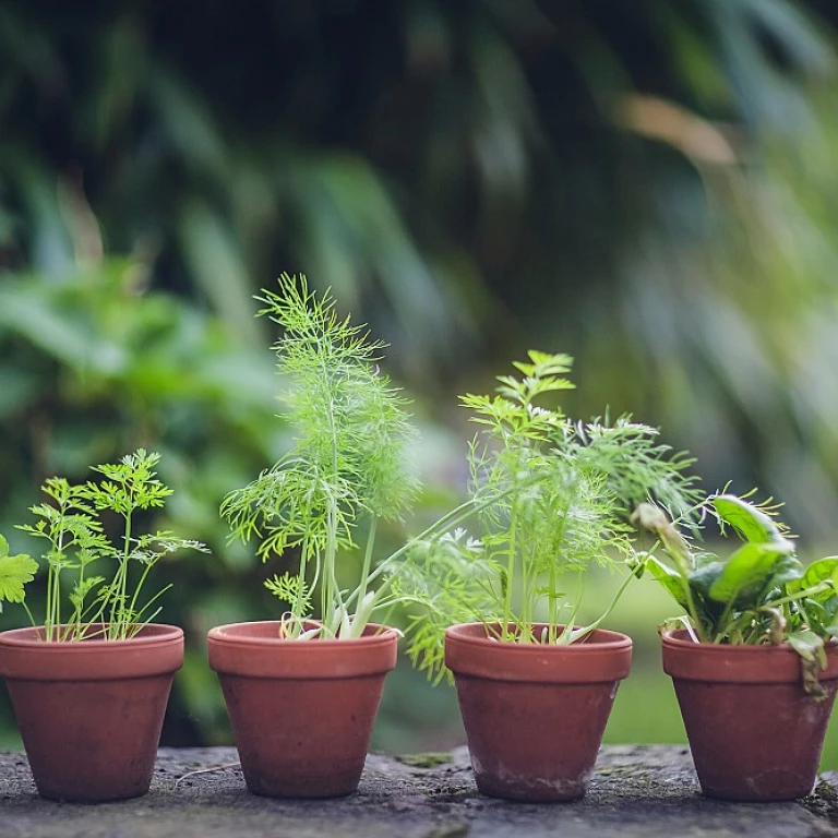 Outils de Jardinage de Précision: Guide Ultime pour S'équiper Comme un Pro