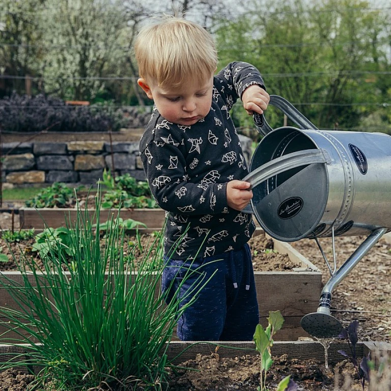 Robots de Jardinage: Nouvelle Ère du Jardin Connecté et Autonome