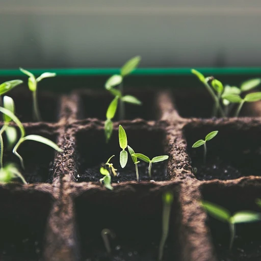 Fenouil : un légume aux mille vertus pour votre jardin et votre cuisine