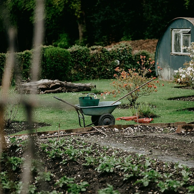 Optimisez votre bassin de jardin avec une pompe performante