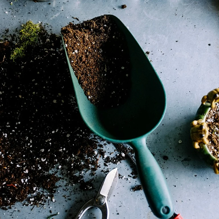 Améliorez votre cuisine avec un robinet filtrant pour une eau plus pure