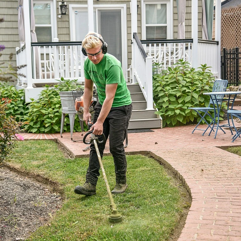 Choisir le bon bois pour votre clôture de jardin